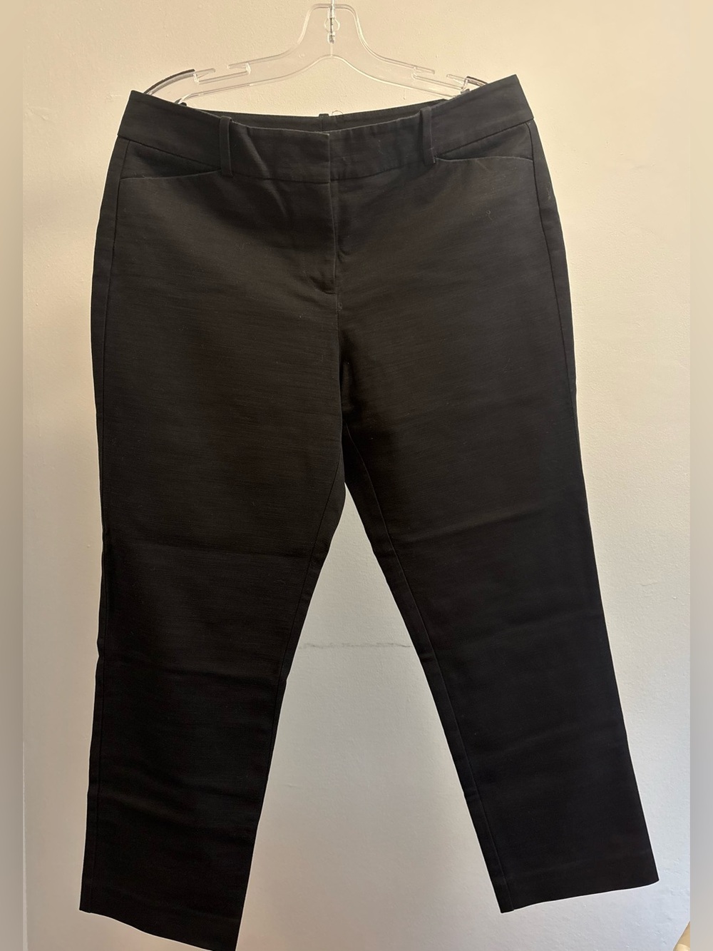 Ann Taylor Dress Pants
